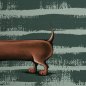 Preview: Panel French Terry Dachshund Berny by Thorsten Berger smaragd