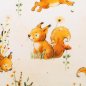 Preview: Baumwolljersey Forest Animals Eichhörnchen beige