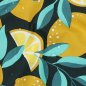 Preview: - Kopie - Kopie