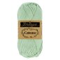 Preview: Scheepjes Catona Baumwollgarn 50g  - silver green