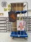 Preview: Cherry Picking Bag, Stoffpanel Canvas Dackel und Rollschuhe