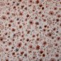 Preview: Eigenproduktion Musselin / Double Gauze Florale Eleganz creme rose´