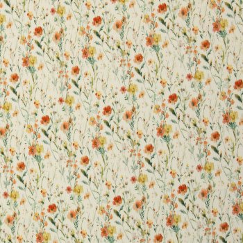 Rippjersey Wildblumen natur