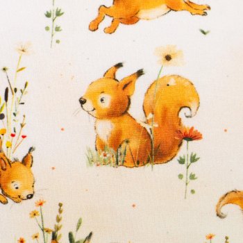 Preview: Baumwolljersey Forest Animals Eichhörnchen beige