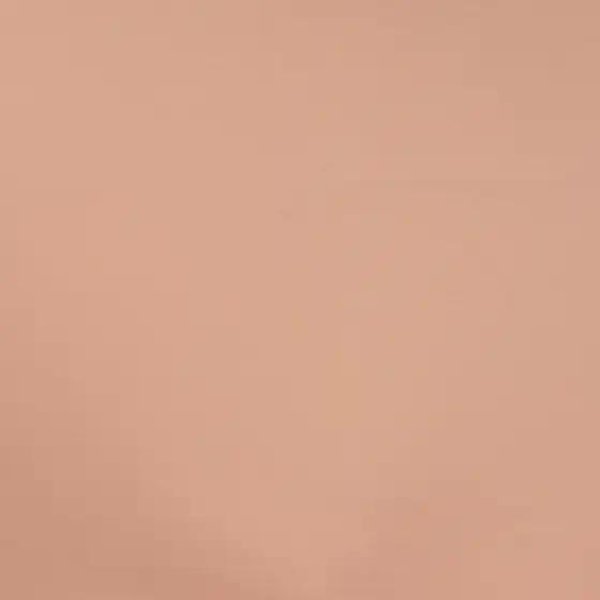 Uni Baumwolljersey dusty salmon