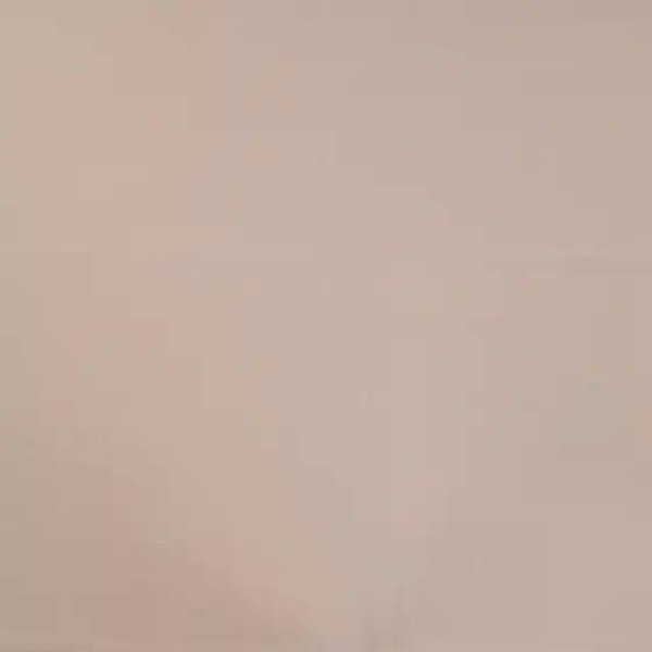 Uni Baumwolljersey beige